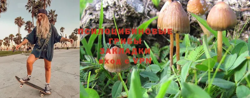 Галлюциногенные грибы MAGIC MUSHROOMS  Калач 